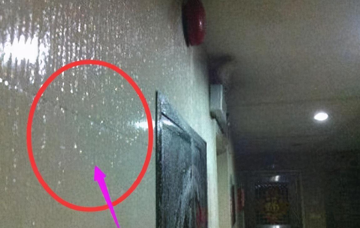 蕾丝|期盼搬进新家!却惨中12个装修坑中,一辈子血花全打水漂!