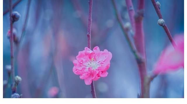 爱情之旅|《一个乱七八糟的故事》都市丽人误入桃花源的奇妙爱情之旅