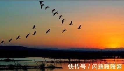 唐朝!寻找秋天最美的诗词,以“秋”为题的诗词排行榜前10名