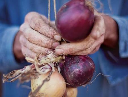 胃炎|它是幽门螺杆菌的“克星”,经常食用一点,胃炎,胃溃疡不再来