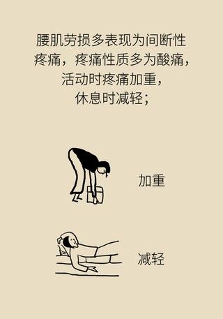 腰肌劳损|年纪轻轻也没干啥体力活儿,怎么就腰肌劳损了?