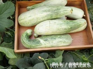 功效|立秋后,晚上当零食吃几片,能保肝护肝,降血压,常食更显年轻