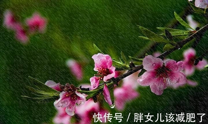 杜甫#山青花欲燃,这个春天,醉倒在唯美古诗词里