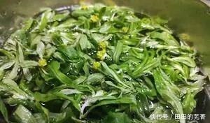 四月来我这 给你做家乡美食 清明菜粑粑 又香又糯味道好极了 全网搜