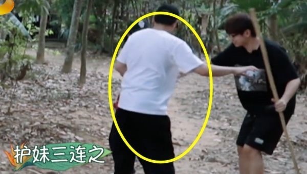 汪苏泷不小心打到张子枫，谁注意彭昱畅的第一反应比言情小说还甜