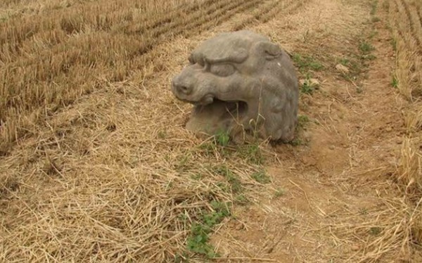 如今|最悲催的皇陵,门票免费无人去,连专家都嫌弃,如今沦为庄稼地!