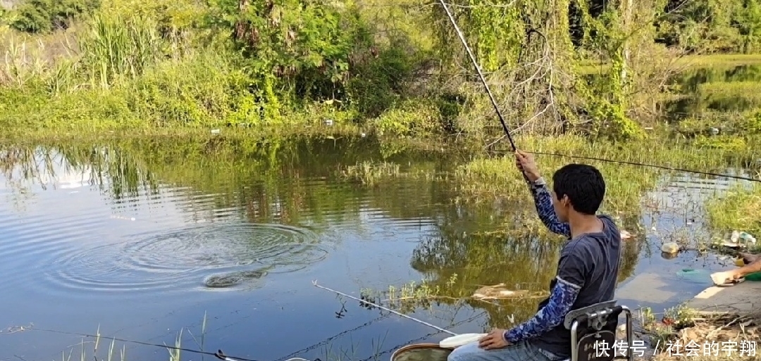 初春是钓大板鲫的“黄金季节”，找对位置用对鱼饵板鲫拉不停！