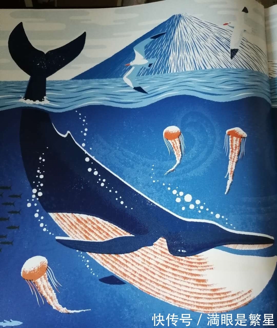 骨头之书&一本很有“骨气”的大书,帅气地告诉你10项世界之最