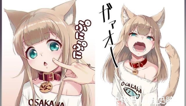兽耳娘|想让猫咪变成人变是不可能的,但画师可以将其画出来!