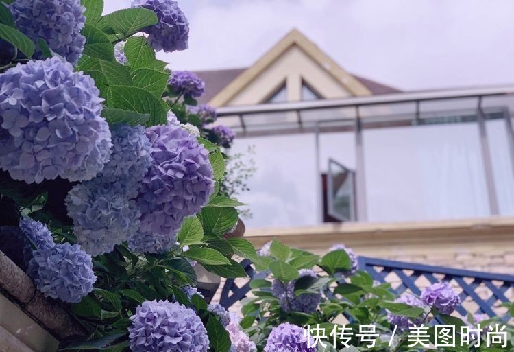 种花|庭院改造:50㎡的下沉式庭院造花园,有地我也建一个,太好看了!