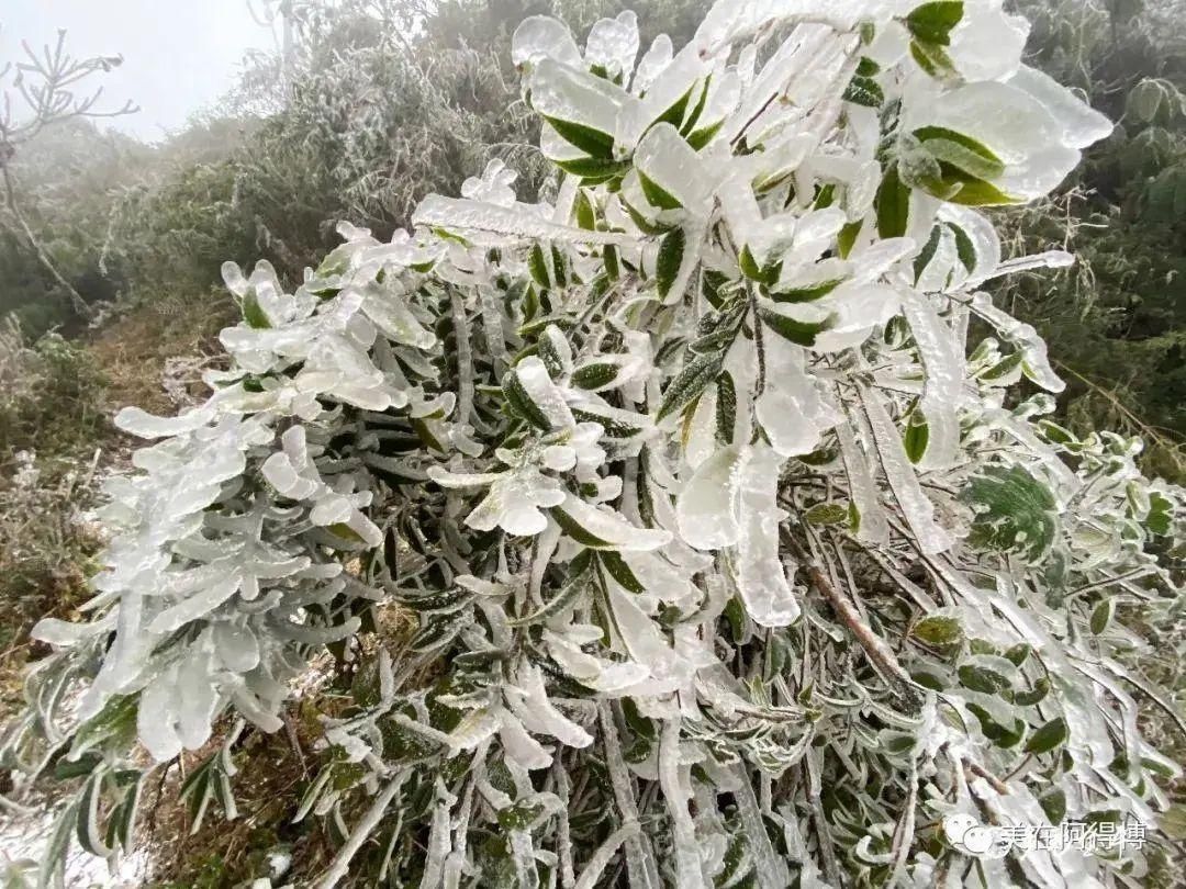 记忆 ｜寒潮再次来袭，还记得前几天的雪吗？