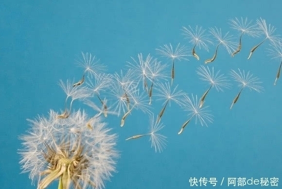 食物|有了痔疮不用割,常吃这几种食物,消肿化瘀,痔疮悄悄“溜走”