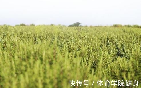 护肤品 被“埋没”的老牌国货护肤品虽价格不高,却有真本事!