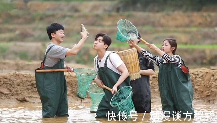 ip|从7.6到6.8，《向往的生活》为什么越来越让人“看不下去”？