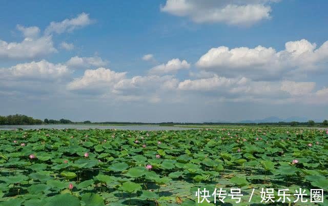 白云湖街道|济南白云湖生态优先绘美景