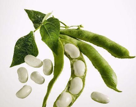  这几种食物都是降血糖的“能手”，每天吃一点，血糖悄悄降下来