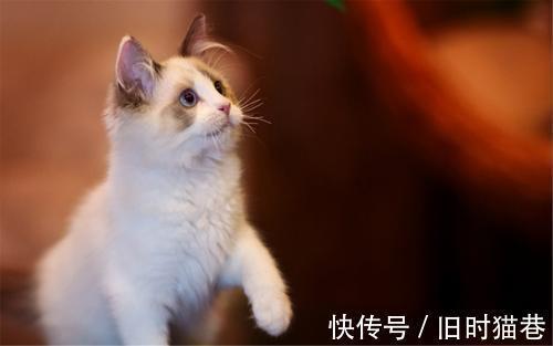 |幽默笑话:高中时的班长现在混大发了,请我们去七星级酒店吃饭