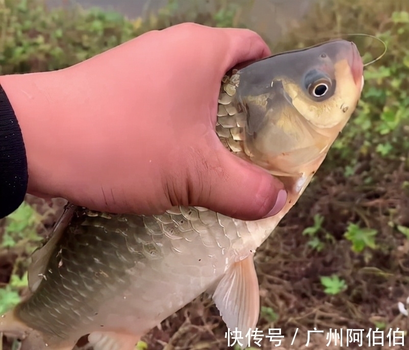 水域|天冷降温后鱼难钓，8个人钓鱼为什么只有我钓到了，原因是这些