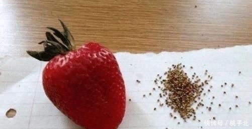 得特别别扭|强迫症吃东西时,奶茶喝出新境界,草莓得去籽吃,网友别吃了