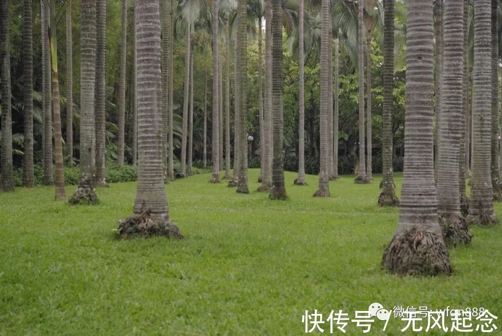 为人处世@俗语“树怕三摇,女怕三撩”,三撩是啥?老祖宗教我们追女孩技巧