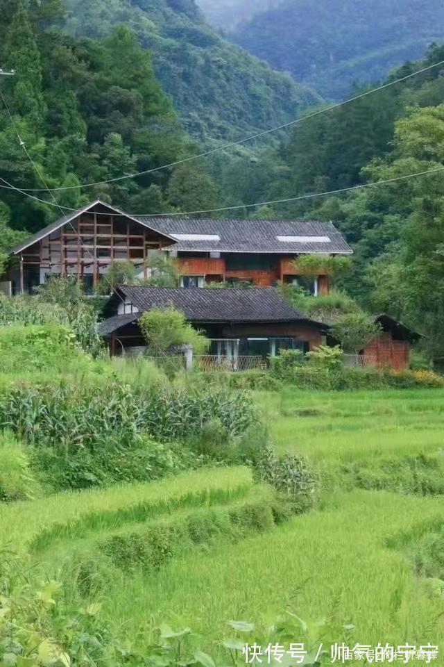 秋韵#【七绝·秋韵】清风伴我不孤行,晨起轩窗有鸟鸣