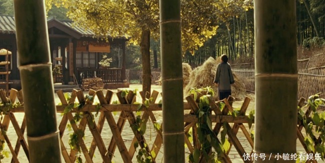 家道中落,一个女人撑起整个家庭,依然培养出鲁迅这样的伟人!