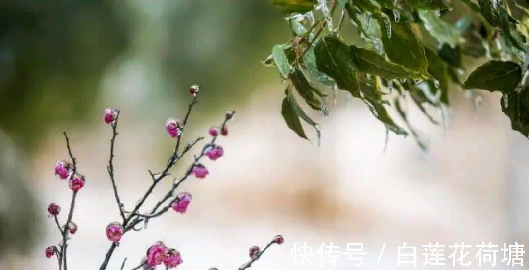 一生|人的一生,一切皆注定,天命不可违