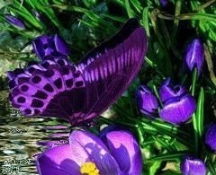 人心$良言20句,见证人心,看透人性看一次胜读十年书