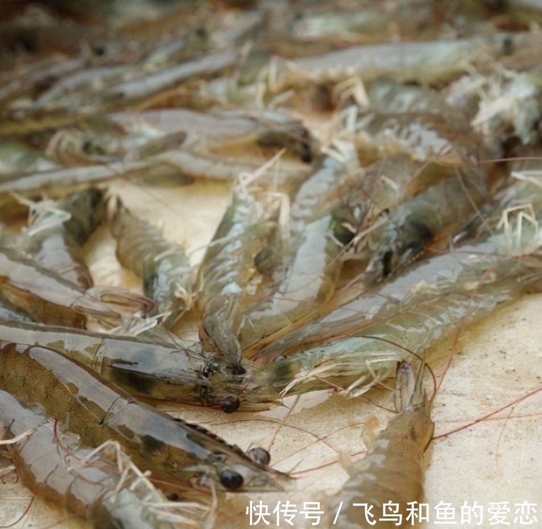 多媒体|他是京东第1位员工，月薪600却跟了刘强东20年，如今是啥待遇？