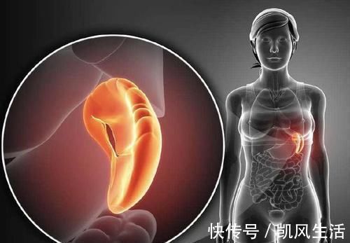 太白穴|不管补气或补血，都得先补脾，补脾就多喝一碗汤，来了解下