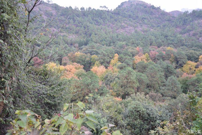 天平山|【喜迎国庆】停车坐爱枫林晚，霜叶红于二月花。游天平山赏枫叶