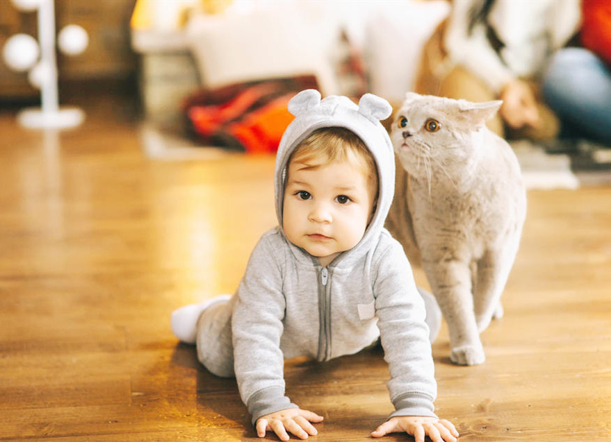 超龄|宝宝运动能力差要多锻炼专家“超龄运动”危害大,规律很重要