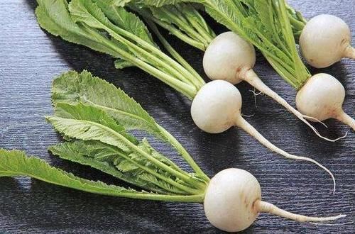 蔓菁根怎么做好吃 蔓菁根的做法教程