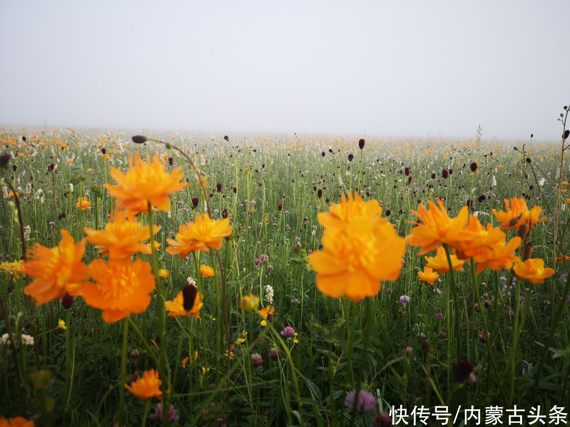 浑善达克沙地|乘着越野车，打马过草原追日出、赶日落