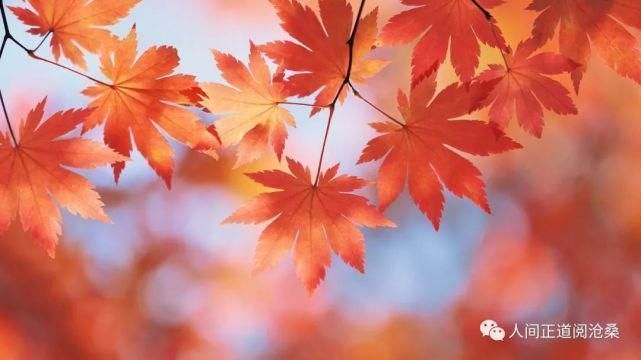 血管堵塞|65岁后的老人,选择静养好还是运动好这12种人最长寿,有你吗