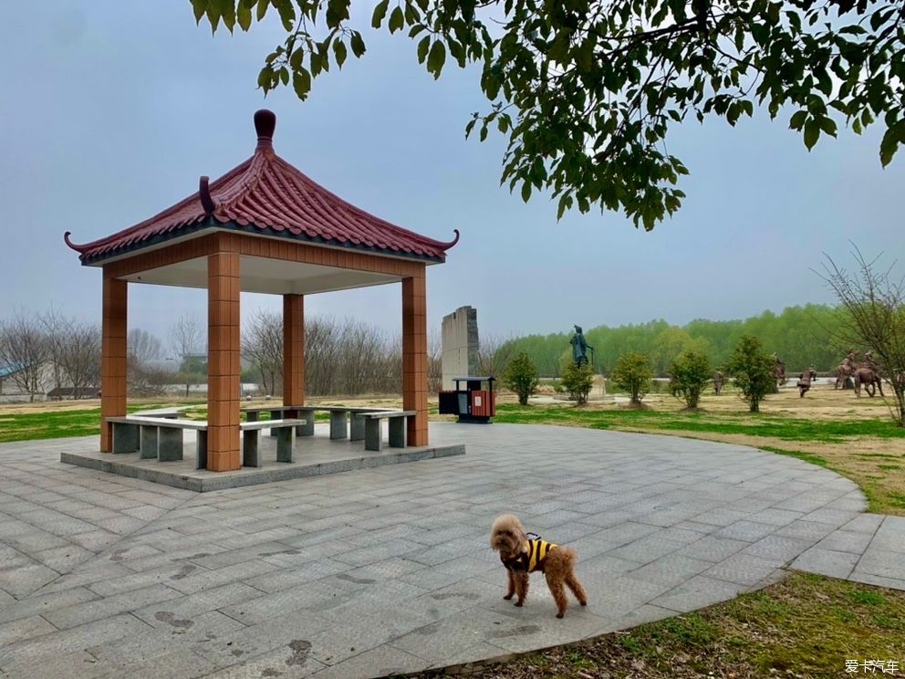 老年|打卡黄天荡湿地：古战场的遗址