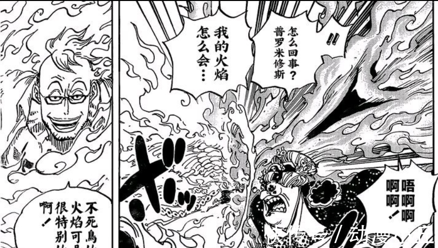 大妈|海贼王1022话:马尔科体力不支投降,但他的表现不负副皇之名!