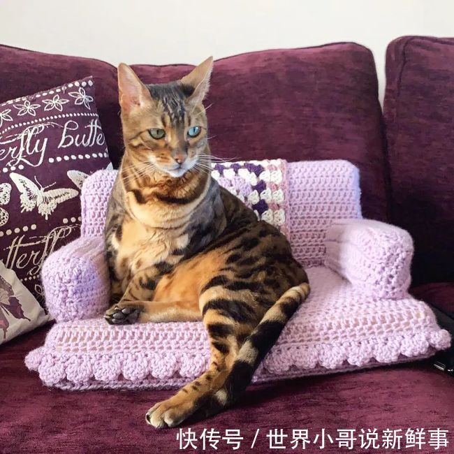 d东京奥运结束了,他的毛衣也织好了