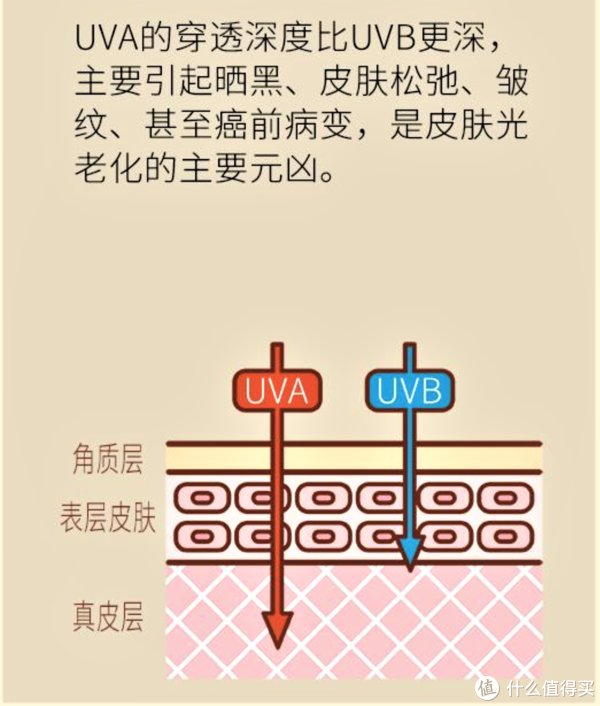 要想皮肤好，防晒不可少——混油皮夏季防晒产品盘点