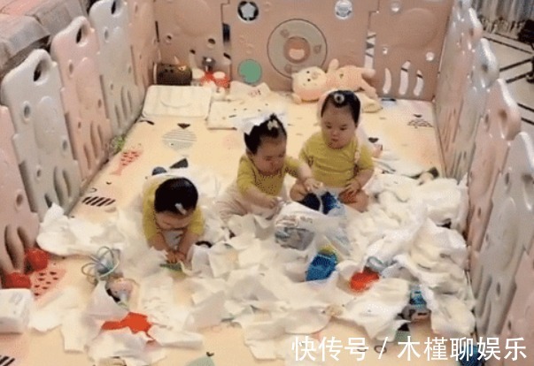 小眼神|“拆家女团”三胞胎宝宝走红,中间那个一脸无辜,却数她撕得最欢