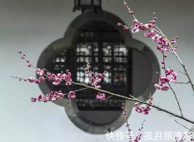 小怨!千古奇文《心相篇》20句话,看透人性,诠释人生,百读不厌