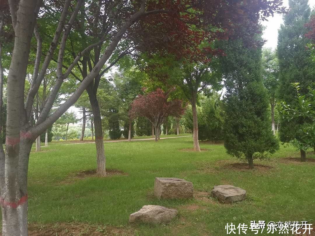 人物形象|如何把人物写活，写真实