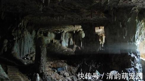 刘媪#“真龙”现世,长近13米,最粗处达6米,专家:至少存在了上亿年