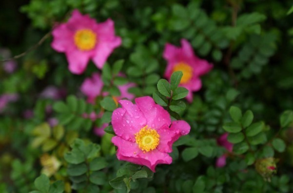 福运|发大财很简单!只需戒掉4个毛病,你将财运大开、福运升天!