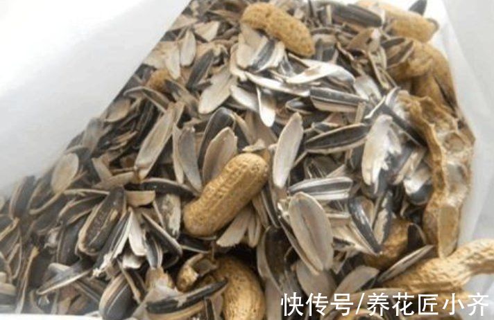 又到3种“垃圾”最多的季节，如果家中有别扔，用来养花特别棒