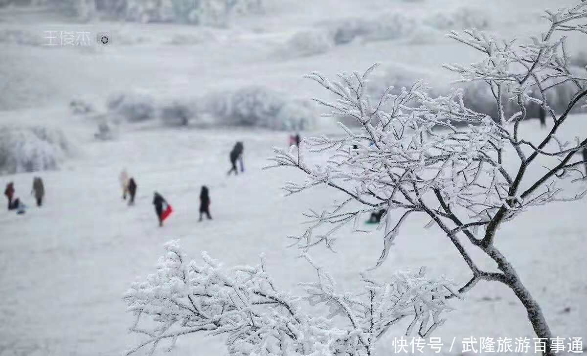 赏心悦目|雪色浪漫，美景养眼，素人美女镜头下的仙女山大片，赏心悦目