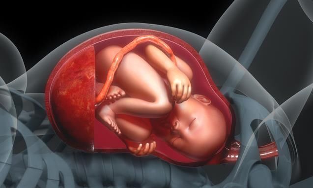 小琳|“脐带绕颈”只是因为胎儿调皮?还有这5件事,也会导致这种结果