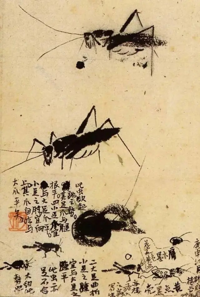 蝈蝈$国画技法图典——草虫篇:蝗虫 蚂蚱 蝈蝈 螽斯 螳螂 蟋蟀