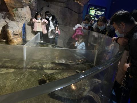 雨中游水族馆 感受传统建筑之美