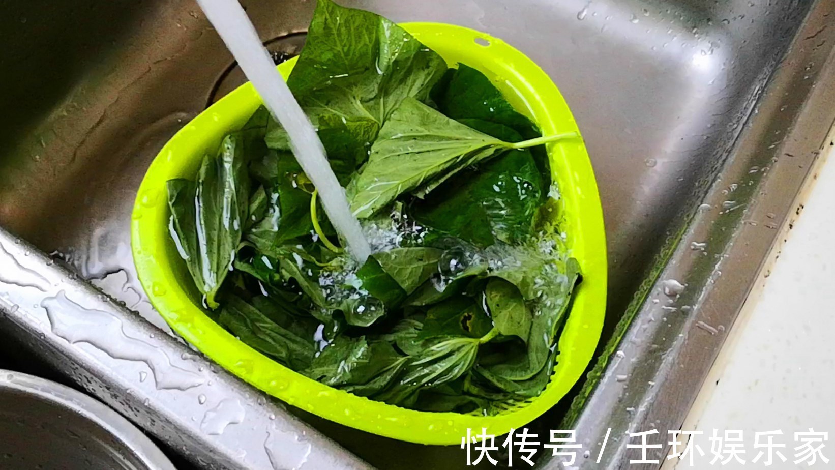 红薯叶|红薯叶锅里蒸一蒸,作用拿钱都买不到,80岁奶奶偷教妙招,真管用